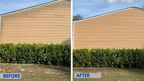 Pressure Washing vs Soft Washing: What’s Best for Your Home?